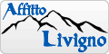 www.affittolivigno.it