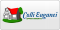 www.appartamentocollieuganei.it