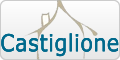 www.casacastiglione.it