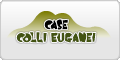 www.casecollieuganei.it