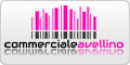 www.commercialeavellino.it