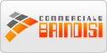 www.commercialebrindisi.it