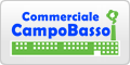 www.commercialecampobasso.it
