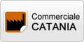 www.commercialecatania.it