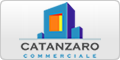 www.commercialecatanzaro.it