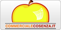 www.commercialecosenza.it