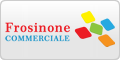 www.commercialefrosinone.it