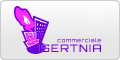 www.commercialeisernia.it