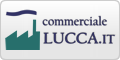 www.commercialelucca.it