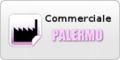 www.commercialepalermo.it