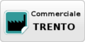 www.commercialetrento.it
