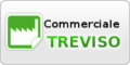 www.commercialetreviso.it