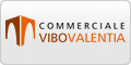 www.commercialevibovalentia.it